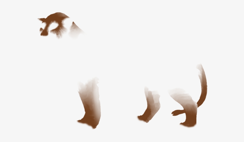 Lion, transparent png