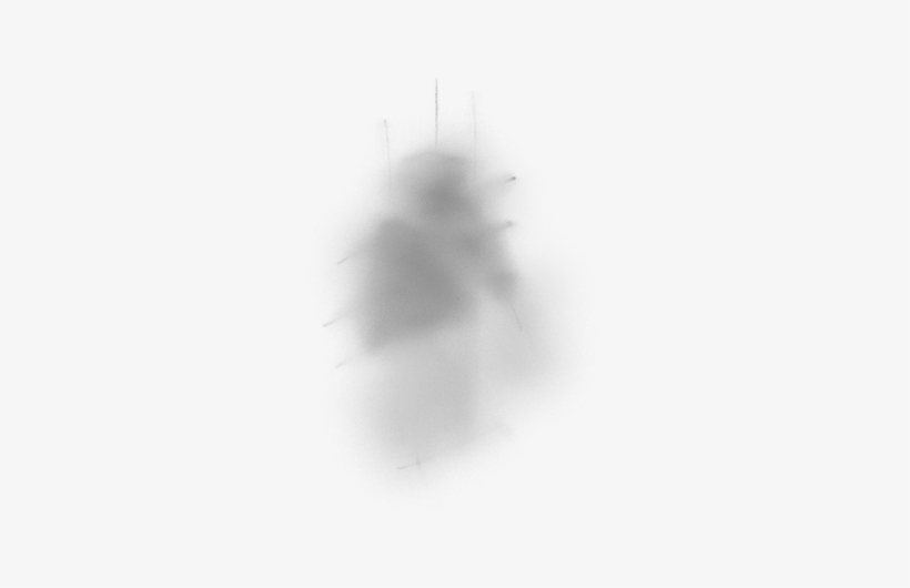 Top - Monochrome, transparent png