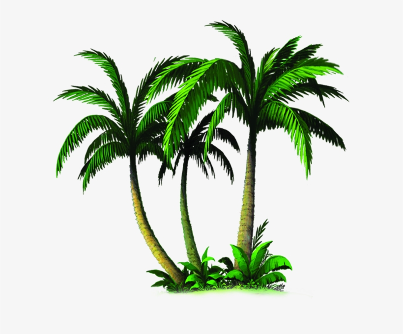 Palm Tree Emoji Transparent Mornin' (feat. Bryce Anthony) 606x600
