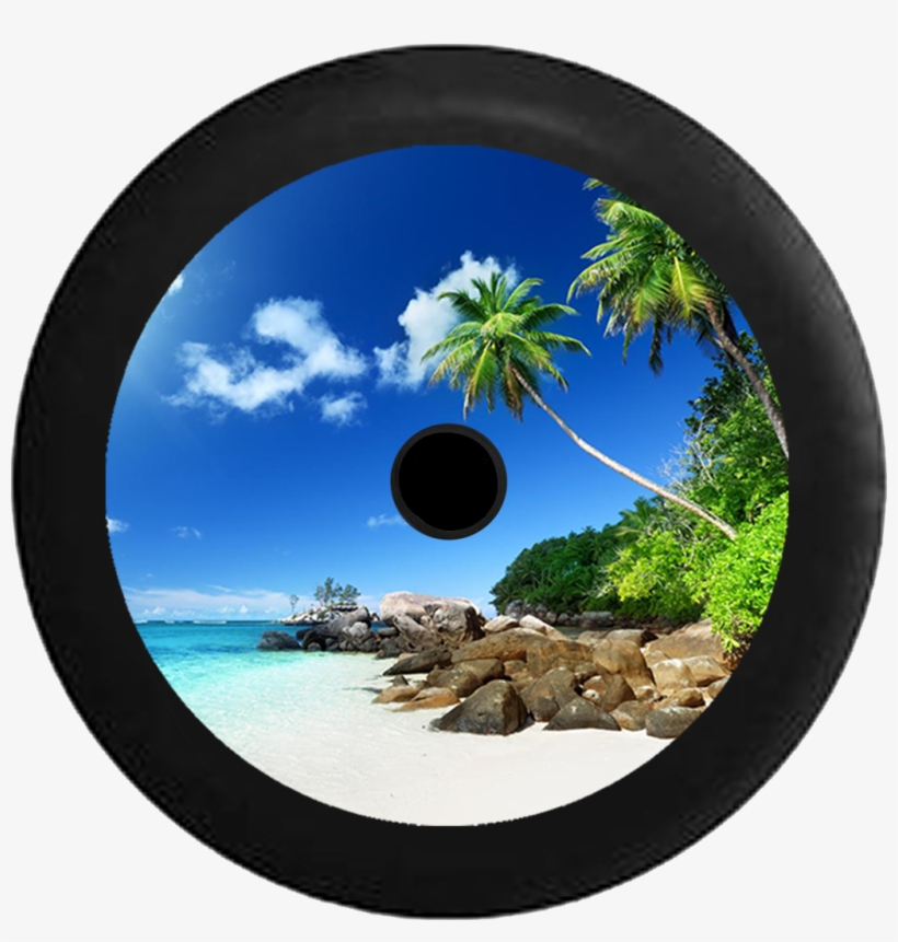 Jeep Wrangler Jl Backup Camera Palm Trees White Sand, transparent png