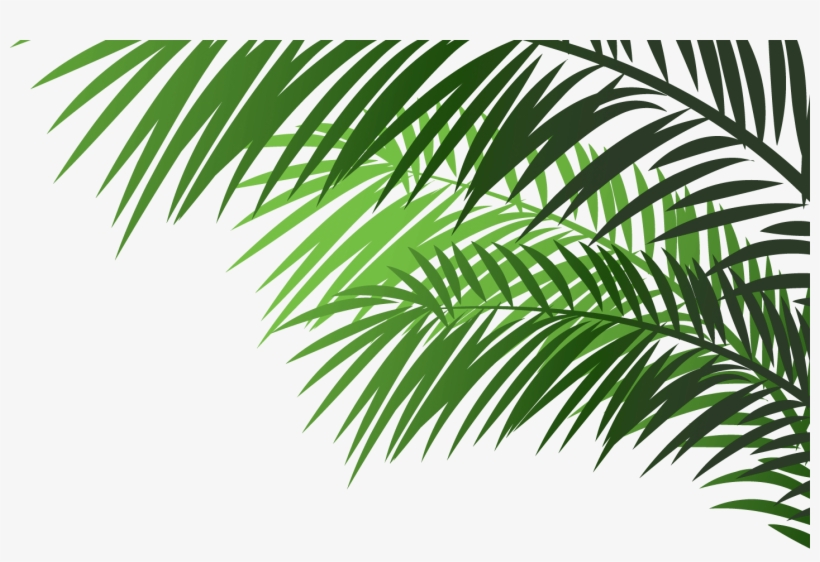 2017 Candy Treasure - Palm Tree Branches On Transparent, transparent png