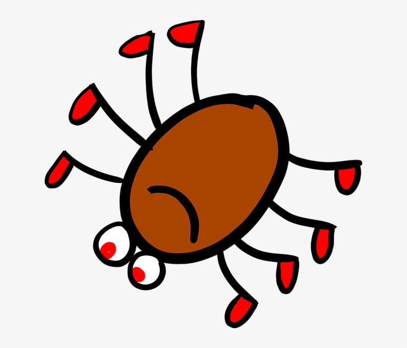 Spider Jokes For Kids - Kids Spider, transparent png