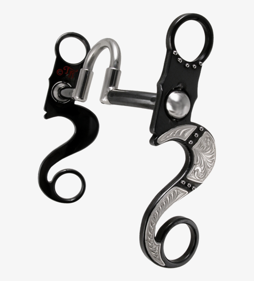 Earrings, transparent png