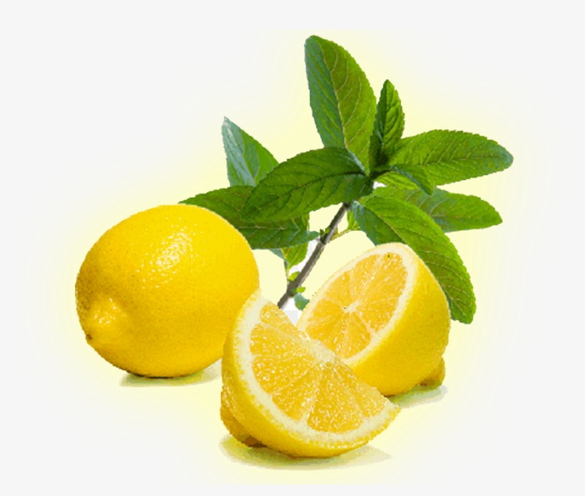 Image01 - Diffuser Blends For Allergies, transparent png