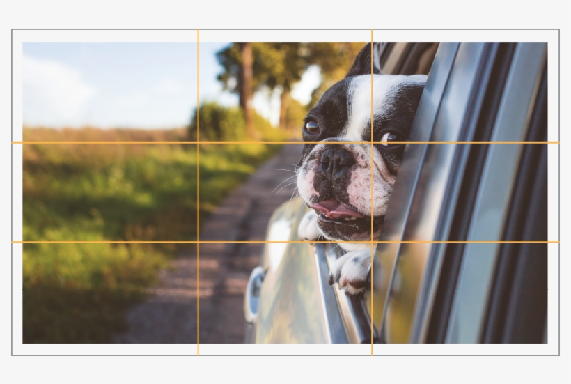 Remembering The Rule Of Thirds May Be Hard To Apply - Adjustable Dog Pet Car Safety Seat Belt Restraint Lead, transparent png