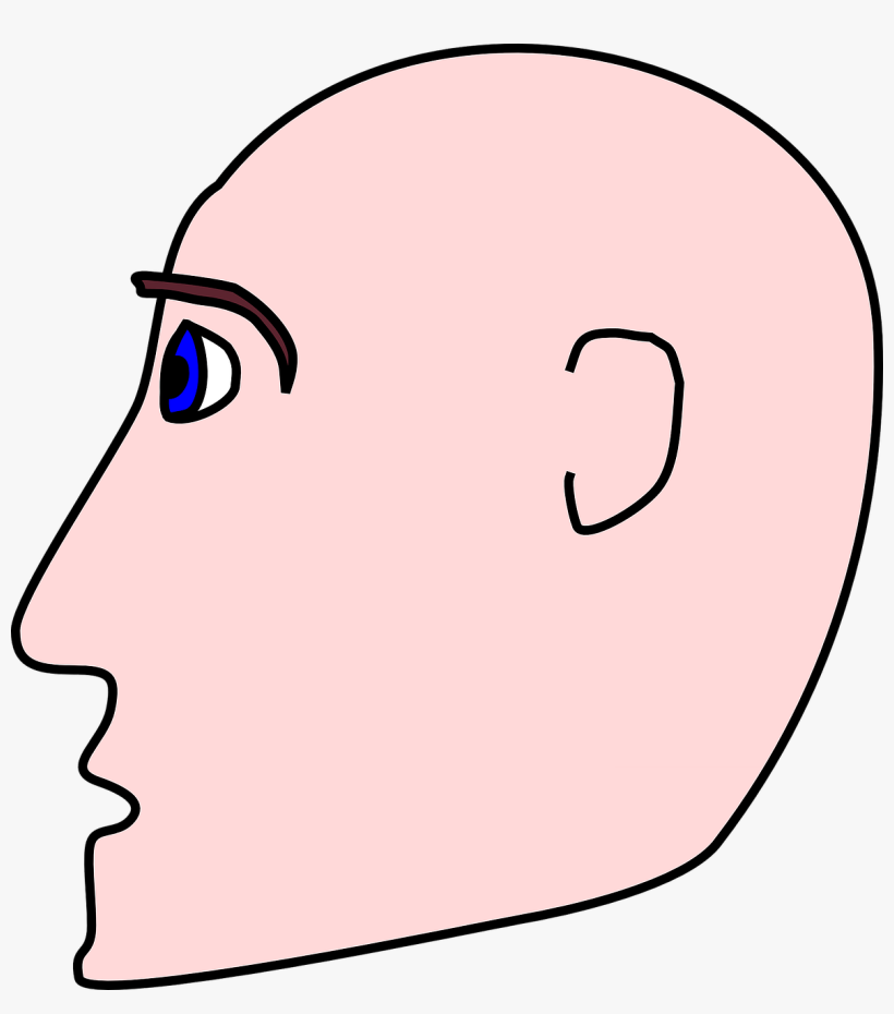 Clip Art, transparent png