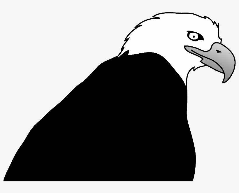 Bald Eagle Clipart - Clip Art, transparent png