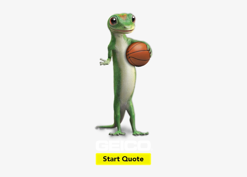 Geico, transparent png