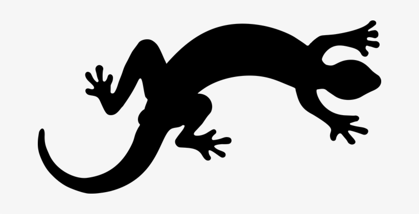 Animal, Gecko, Lizard, Reptile - Lizard Clipart, transparent png