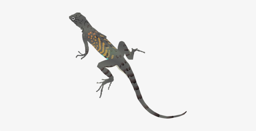 Lizard Gecko Dragon Animal Cartoon Reptile Lizard Clip Art No Background 377x340 Png Download Pngkit