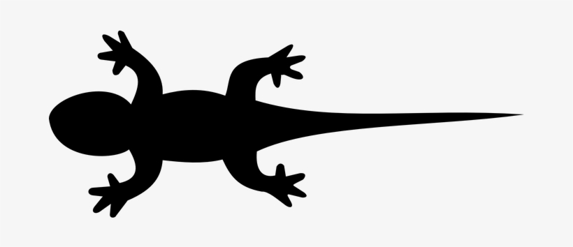Lizard, Iguana, Gecko, Animal, Nature - Silhouette Lizard, transparent png