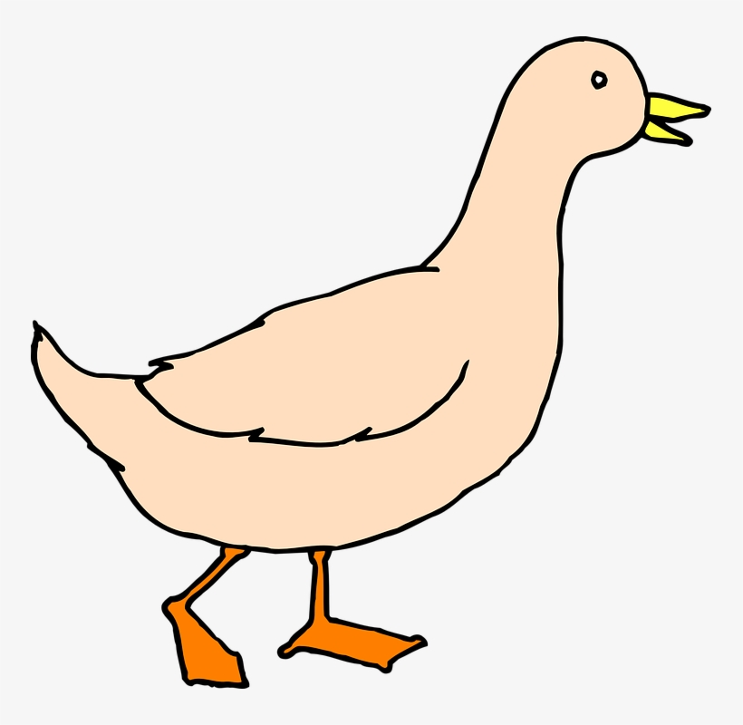 Walking Wings Free Vector Graphic On Pixabay - Duck Art, transparent png