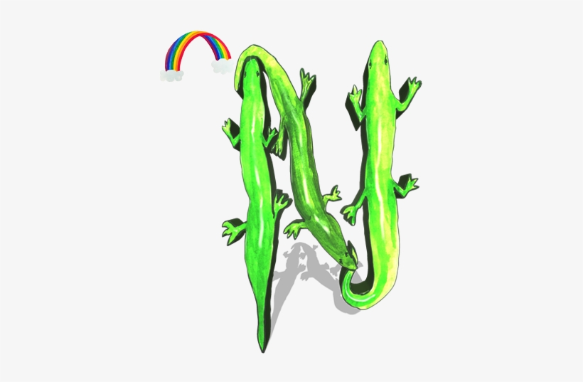 We Have Created A Rainbow Links A Z Which Provides - Shrub Frog, transparent png