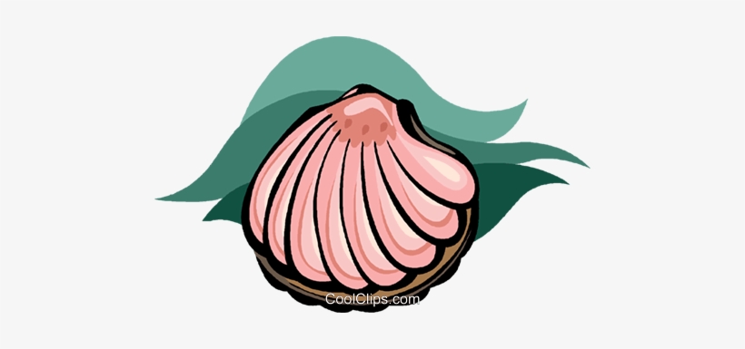 Seashell, Clam Shell Royalty Free Vector Clip Art Illustration - Muschel Clipart, transparent png