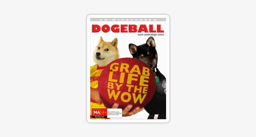 I Saw A Version Where They Simply Changed The Title - Doge Balls, transparent png