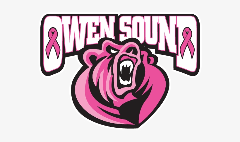 The Canadian Cancer Society Is Partnering With - Sudbury Wolves At Owen Sound Attack, transparent png