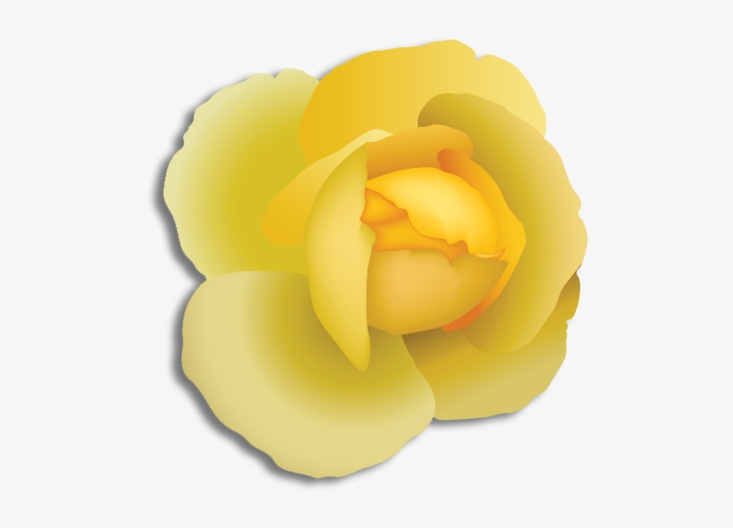 Alpha Phi Alpha - Alpha Phi Alpha Flower, transparent png