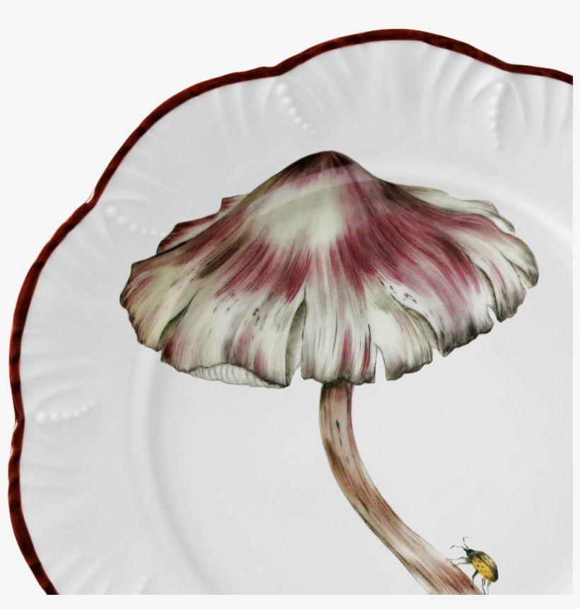 Mushroom Plates, transparent png