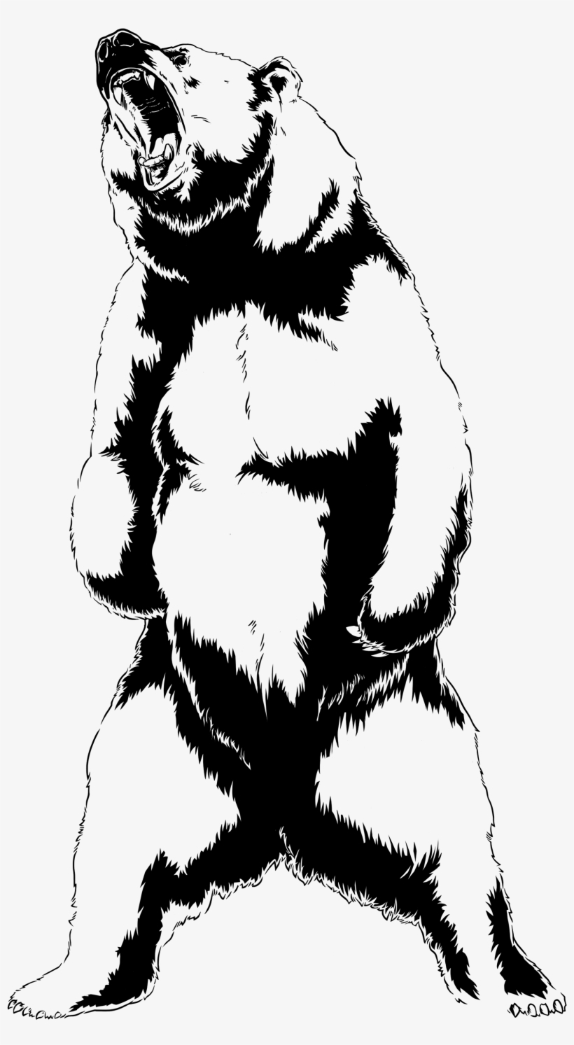 Graphic Library Library Bear At Getdrawings Com Free - Bear Roar Drawing, transparent png