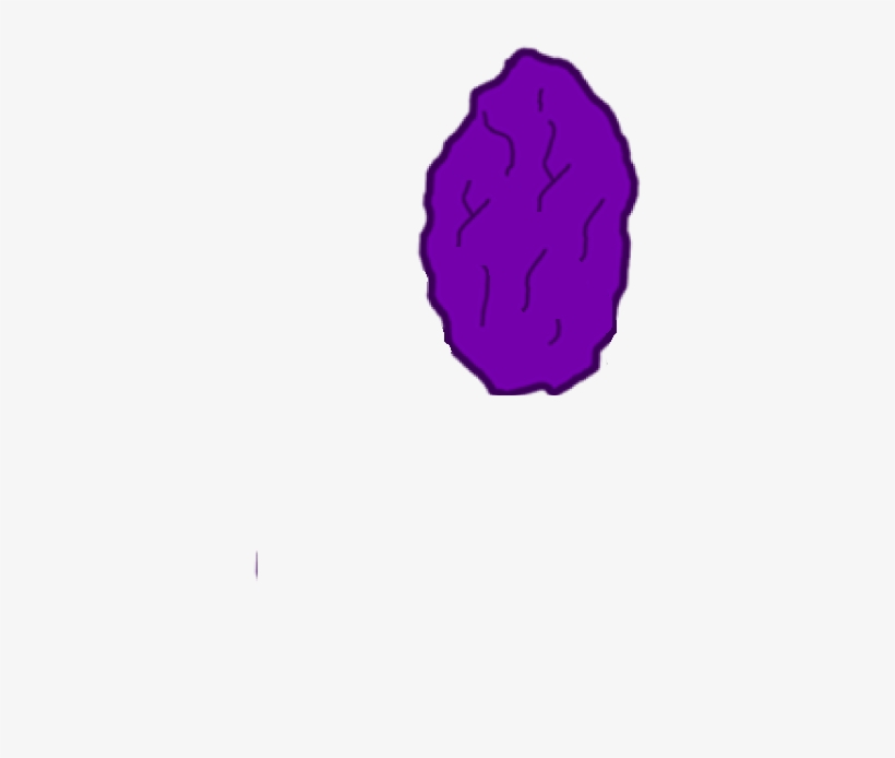 Assets-raisin - Illustration, transparent png