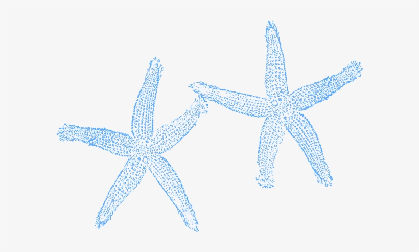 Original Png Clip Art File Two Blue Starfish Svg Images, transparent png