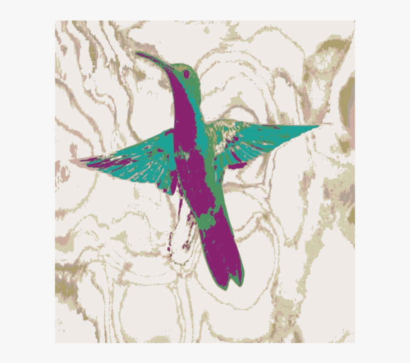 Starfish Clipart Hummingbird Clip Art - Hummingbird, transparent png