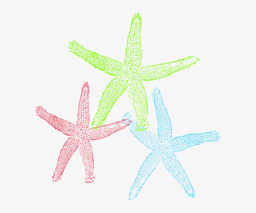 Free Set Of Three Colorful Starfish Clip Art - Graffitee Studios Love Starfish Graphic Art On Wrapped, transparent png