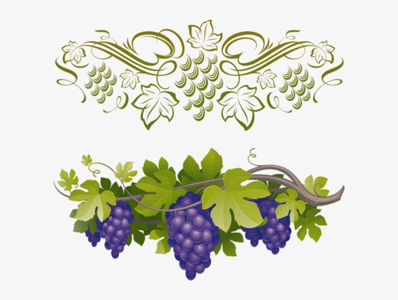 Raisin Png, Tube Fruit, Vendanges - 5th Sunday Of Easter Year B, transparent png