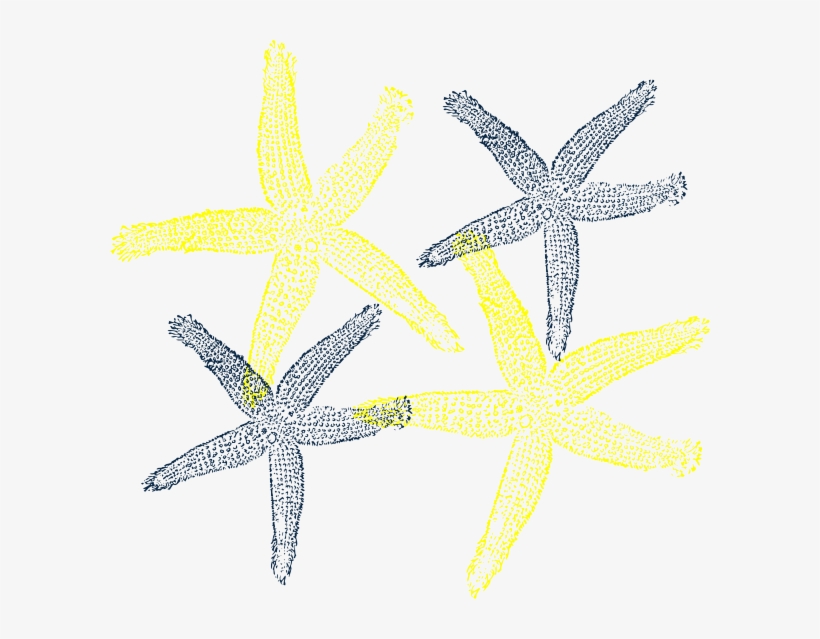Starfish Prints Clip Art At Clker - Fish Clip Art, transparent png