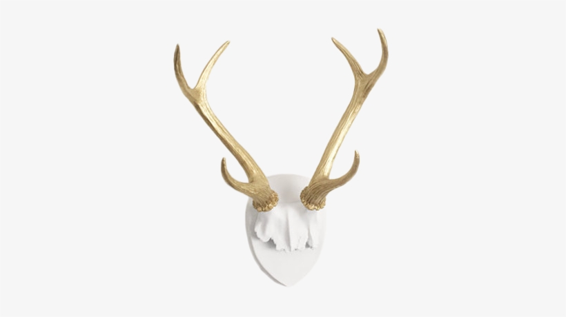 Any Color Faux Deer Antler Mount, White Plaque With - Antler, transparent png