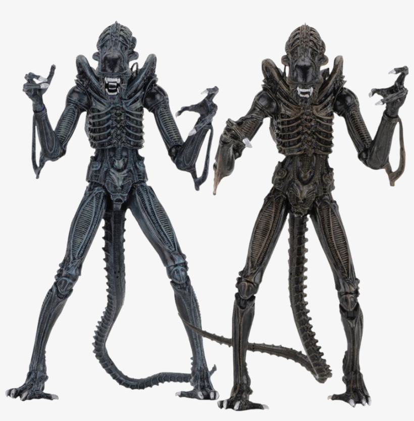 Aliens - Ultimate Alien Warrior Neca, transparent png