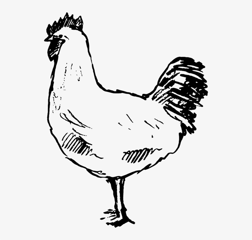 Hen Rubber Stamp - Chicken, transparent png