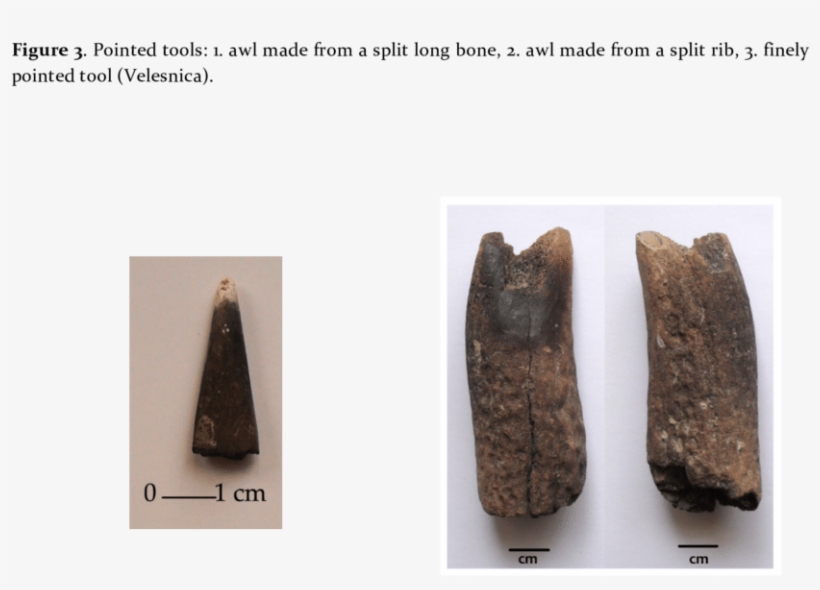 Tip Of A Projectile Point - Velesnica, transparent png