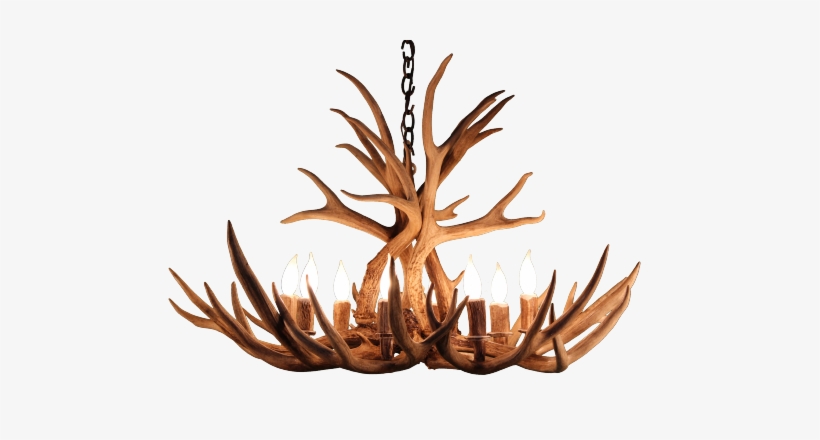 8 Light Mule Deer Antler Chandelier - Alexandrine Mule Deer 8-light Candle-style Chandelier, transparent png