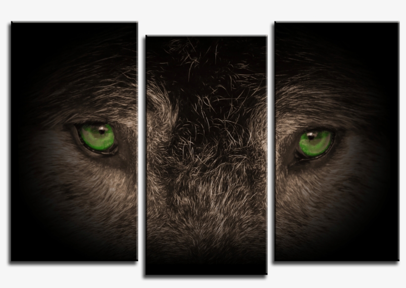 Wolf Eyes 3 Panel Canvas Print 075-01 - Half Life 2 Model Pack, transparent png