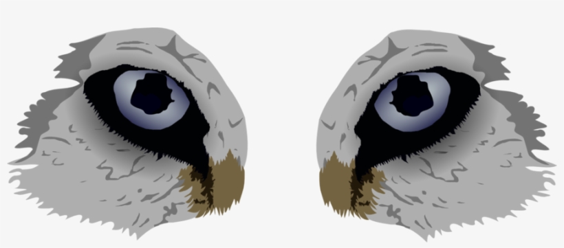 Fur Vector Eyes - Clip Art, transparent png