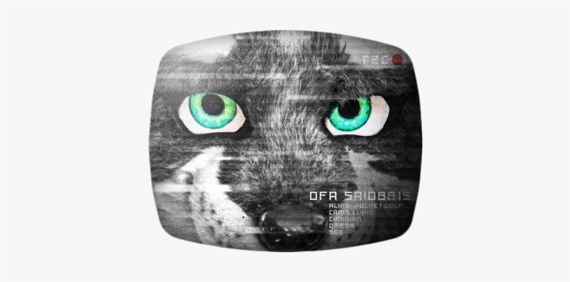 Sairys Wolf - Black Cat, transparent png