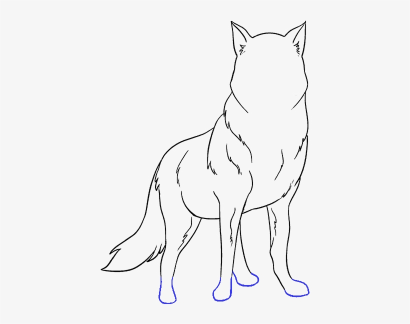 How To Draw Wolf - Drawing, transparent png