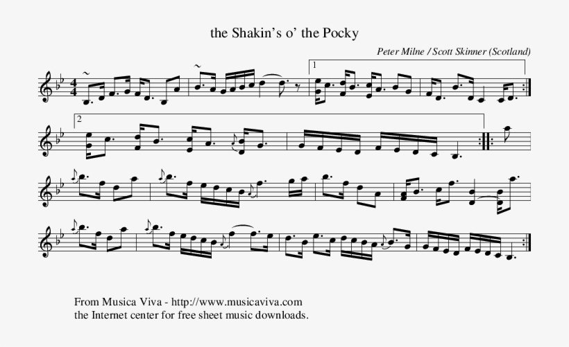 Listen To The Shakin's O' The Pocky - Live Not Where I Love, transparent png