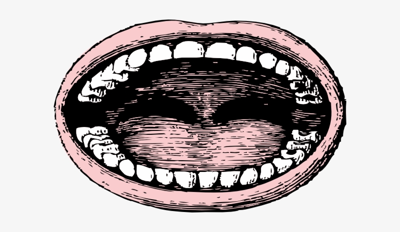 Wide Mouth Clip Art - Opened Mouth Png, transparent png