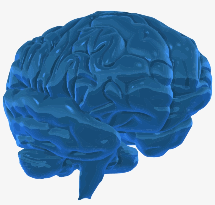 A 3d Graphic Image Of The Human Brain - Blue 3 D Brain Png, transparent png