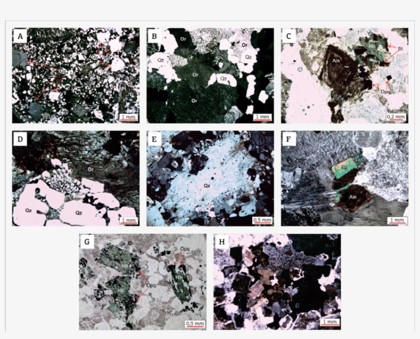 Textural Aspects Photomicrographs Of The Studied Rocks - Collage, transparent png