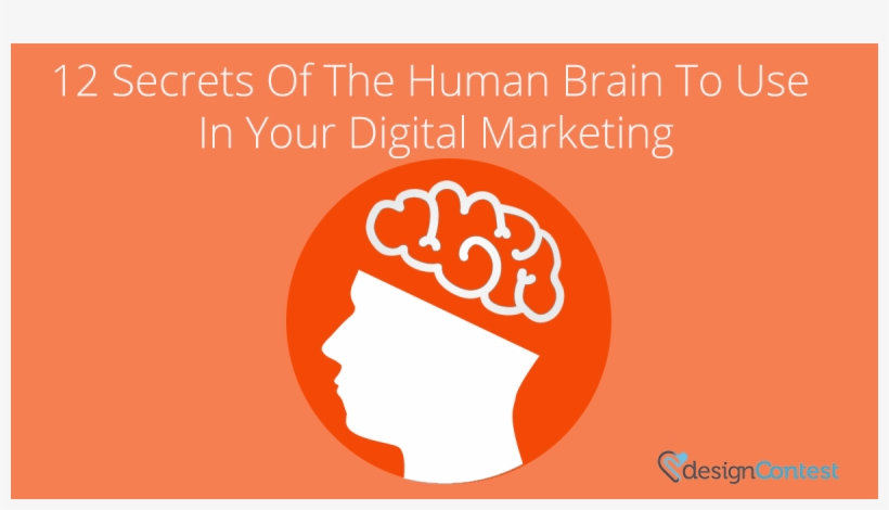 Circle, transparent png