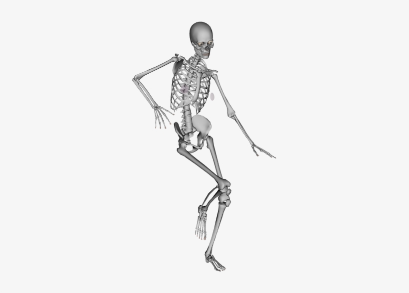 Bones Inspire My 700 Muscles To Push, Pull, Expand, - Dance, transparent png