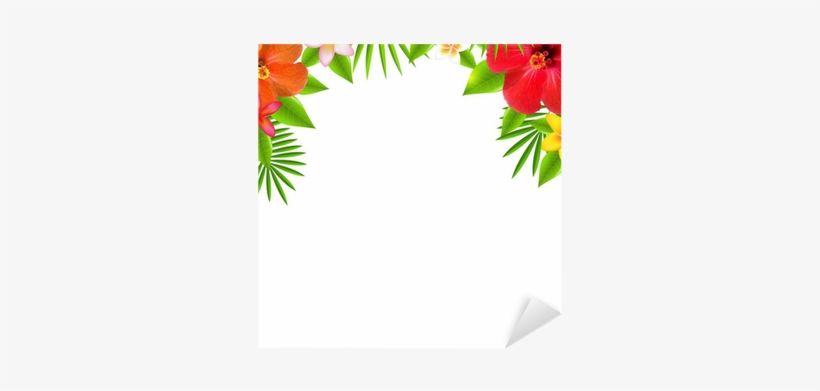 Tropical Flower Border Transparent, transparent png