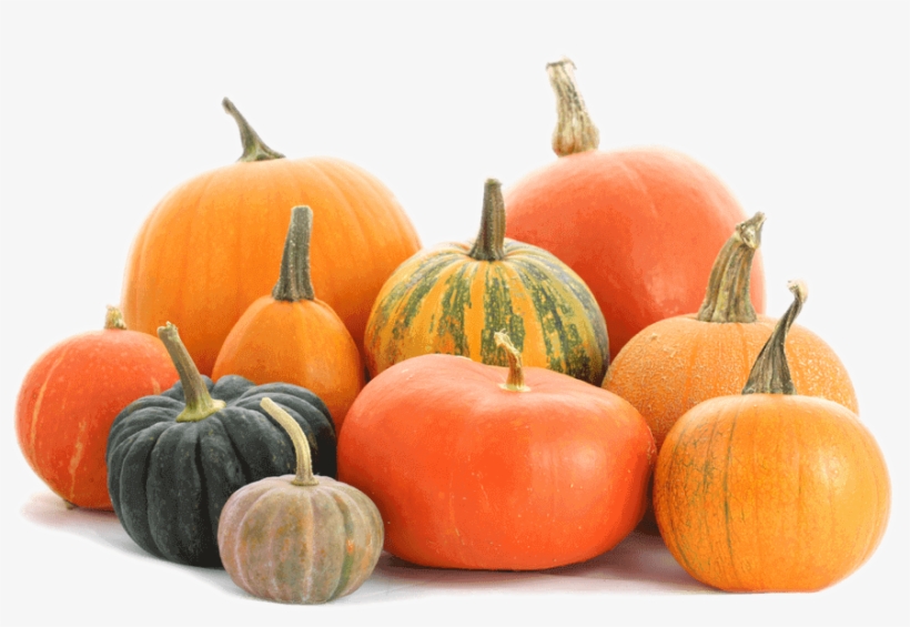 Picture - Group Of Pumpkins, transparent png