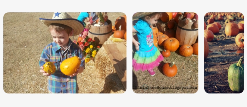 October Fun - Pumpkin Patch - Toddler, transparent png