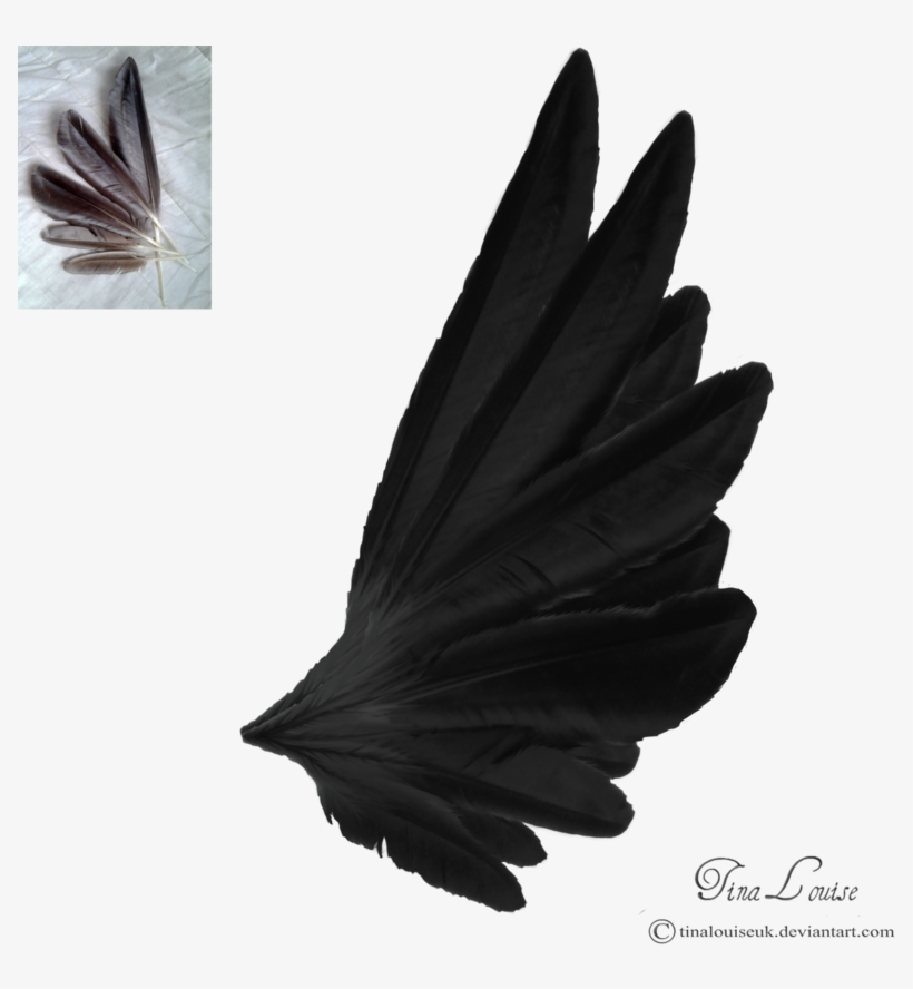Dark Angel Wings By Tinalouiseuk On Deviantart - Angel Wings Side View Black, transparent png