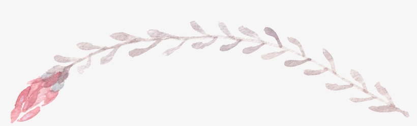 Depending On The Request, It May Take 1-2 Weeks To - Illustration, transparent png