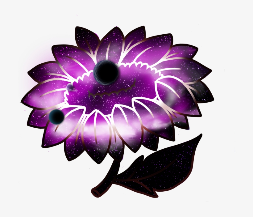 Flower Dark Star - Pericallis, transparent png